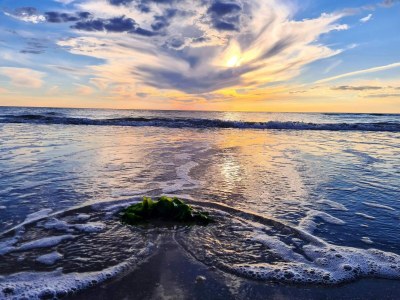 Holiday house 8 person holiday home in Rømø-By Traum - Outdoor photo 44