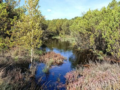 Holiday house 8 person holiday home in Rømø-By Traum - Outdoor photo 46