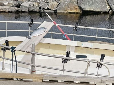 Holiday house 8 Personen Ferienhaus in Korssund-By Traum - Outdoor photo 25