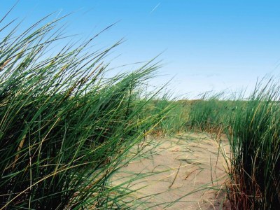 Apartment Appartementhaus Jann-Berghaus, Norderney - Environment photo 19