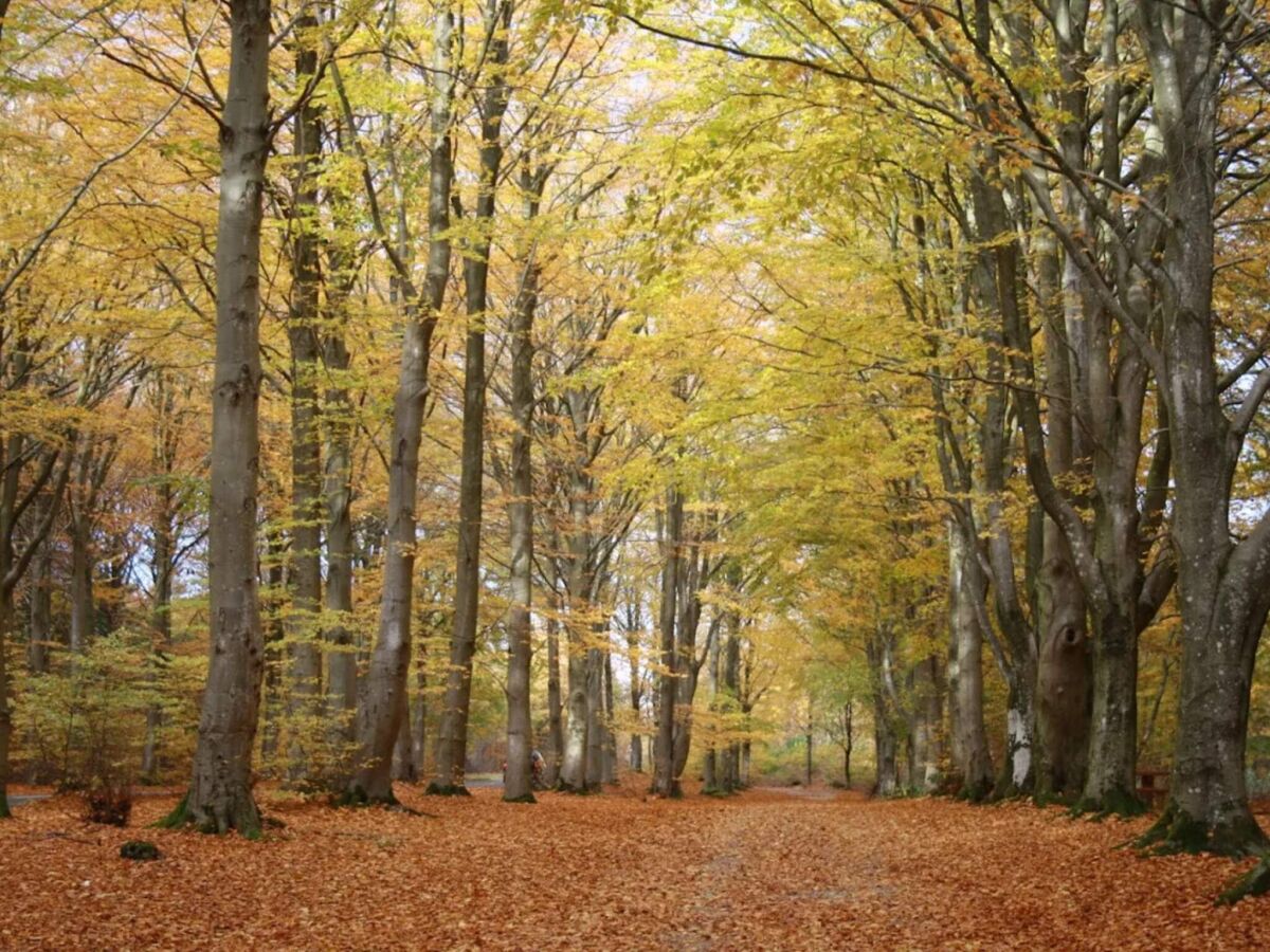 Holiday house Renovierter Ruckzug mit Pool -- By Traum Ferienwohnungen - Outdoor photo 3