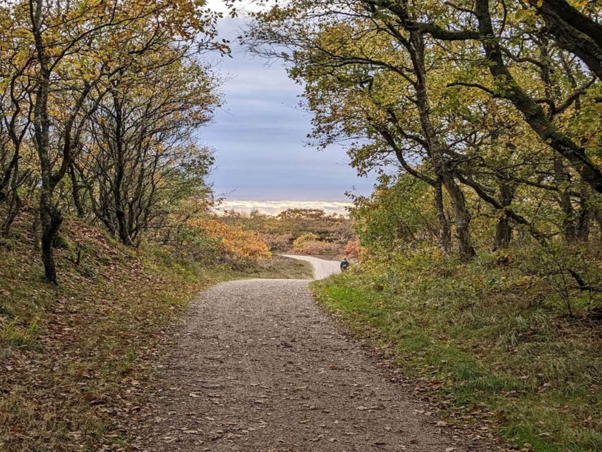 Holiday house Renovierter Ruckzug mit Pool -- By Traum Ferienwohnungen - Outdoor photo 4