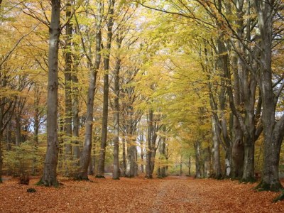 Holiday house Renovierter Ruckzug mit Pool -- By Traum Ferienwohnungen - Outdoor photo 3