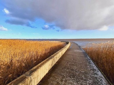 Holiday house Renovierter Ruckzug mit Pool -- By Traum Ferienwohnungen - Outdoor photo 9