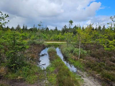 Holiday house Renovierter Ruckzug mit Pool -- By Traum Ferienwohnungen - Outdoor photo 13