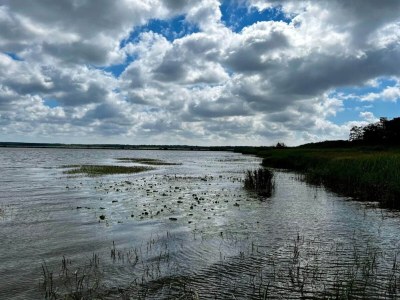 Holiday house Renovierter Ruckzug mit Pool -- By Traum Ferienwohnungen - Outdoor photo 25