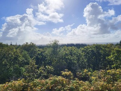 Holiday house Renovierter Ruckzug mit Pool -- By Traum Ferienwohnungen - Outdoor photo 30