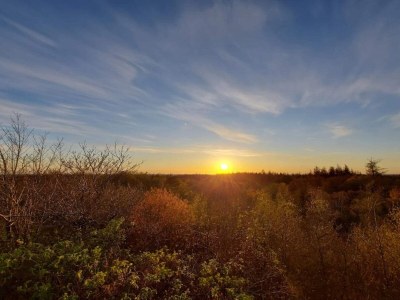Holiday house Renovierter Ruckzug mit Pool -- By Traum Ferienwohnungen - Outdoor photo 35