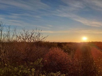 Holiday house Renovierter Ruckzug mit Pool -- By Traum Ferienwohnungen - Outdoor photo 36