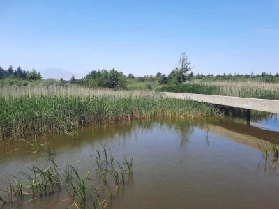 Holiday house Renovierter Ruckzug mit Pool -- By Traum Ferienwohnungen - Outdoor photo 57