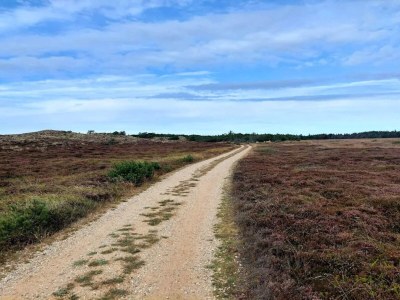 Holiday house Renovierter Ruckzug mit Pool -- By Traum Ferienwohnungen - Outdoor photo 69