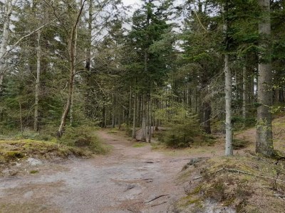 Holiday house Renovierter Ruckzug mit Pool -- By Traum Ferienwohnungen - Outdoor photo 71