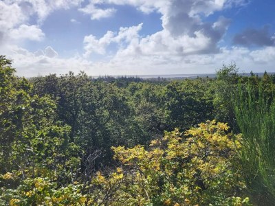 Holiday house Renovierter Ruckzug mit Pool -- By Traum Ferienwohnungen - Outdoor photo 72