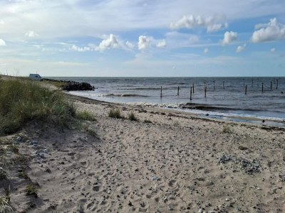 Holiday house Ferienhaus für acht Personen - Outdoor photo 15