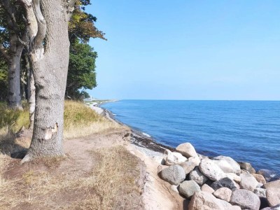 Holiday house Ferienhaus für acht Personen - Outdoor photo 20