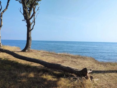 Holiday house Ferienhaus für acht Personen - Outdoor photo 21