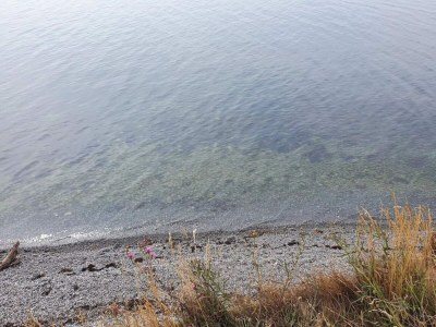 Holiday house Ferienhaus für acht Personen - Outdoor photo 31