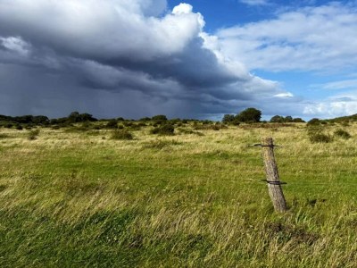 Holiday house Ferienhaus für acht Personen - Outdoor photo 34