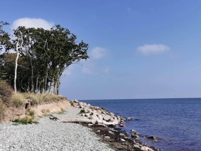 Holiday house Ferienhaus für acht Personen - Outdoor photo 36