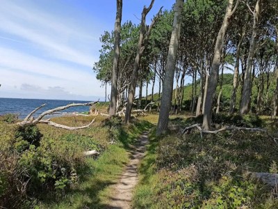 Holiday house Ferienhaus für acht Personen - Outdoor photo 41