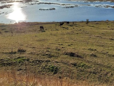 Holiday house Ferienhaus für acht Personen - Outdoor photo 44