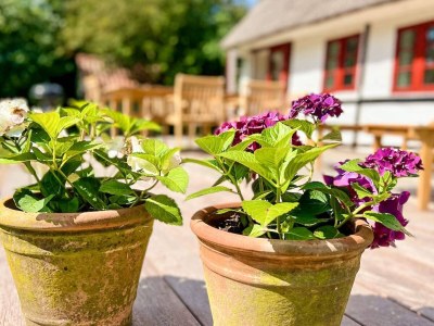 Holiday house Ferienhaus für acht Personen - Outdoor photo 56