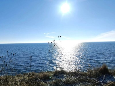 Holiday house Ferienhaus für acht Personen - Outdoor photo 59