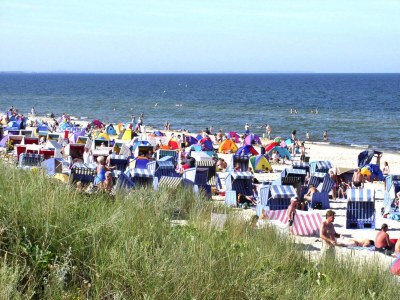 Holiday house Ferienhaus Kranichnest, Zirchow - Environment photo 20