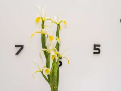 Apartment Apartments Maza - One Bedroom Apartment with Balcony  (Angela) - Outdoor photo 26