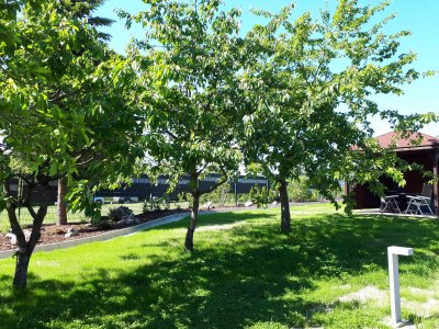 Holiday apartment Holiday Apartment Eldeufer I - Outdoor photo 4