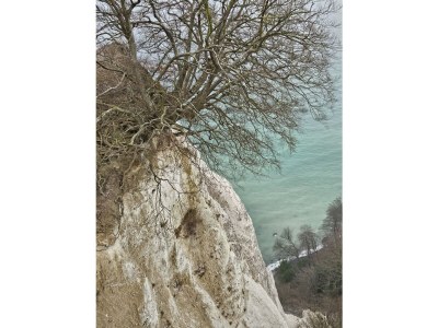 Holiday apartment Holiday Apartment Eldeufer I - Environment photo 37