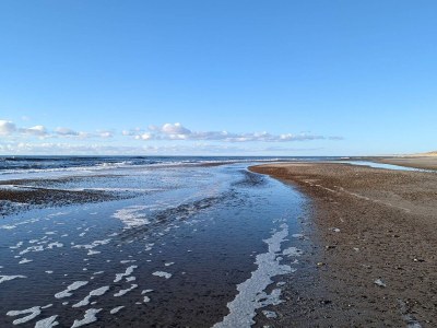 Holiday house 12 person holiday home in Ulfborg-By Traum - Outdoor photo 12