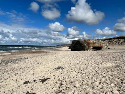 Holiday house 12 person holiday home in Ulfborg-By Traum - Outdoor photo 13