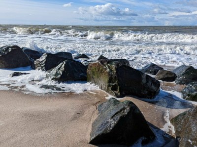 Holiday house 12 person holiday home in Ulfborg-By Traum - Outdoor photo 25