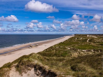 Holiday house 12 person holiday home in Ulfborg-By Traum - Outdoor photo 31