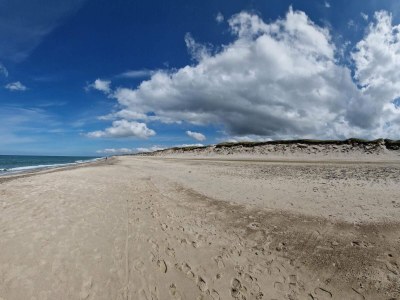 Holiday house 12 person holiday home in Ulfborg-By Traum - Outdoor photo 47