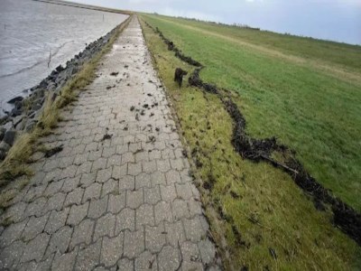 Apartment Ferienwohnung Kapitänskajute in Dornumersiel - Environment photo 18
