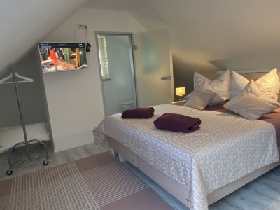 Holiday apartment Luxurious maisonette on the Weißer Hirsch - Features photo 10