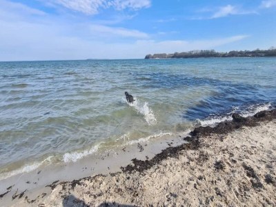 Holiday house 4 Personen Ferienhaus in Hejls-By Traum - Outdoor photo 18