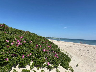 Holiday house Luxus Strand Ruckzug -- By Traum Ferienwohnungen - Outdoor photo 53