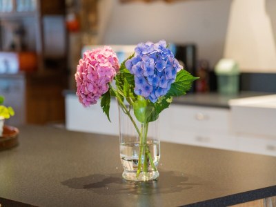 Farmhouse Farmhouse in Elsendorp with Garden - Outdoor photo 40