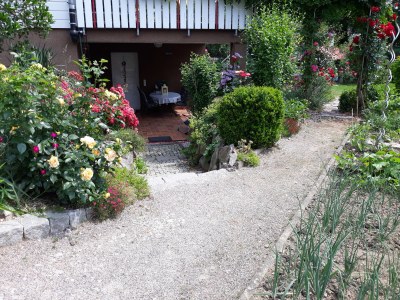 Holiday apartment im Oberdorf - Environment photo 18