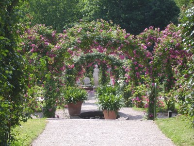 Holiday apartment im Oberdorf - Environment photo 19