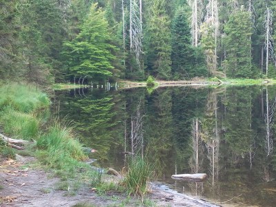 Holiday apartment im Oberdorf - Environment photo 22