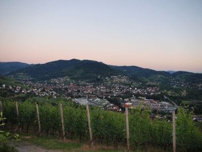 Holiday apartment im Oberdorf - Environment photo 24