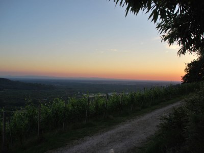 Holiday apartment im Oberdorf - Environment photo 26