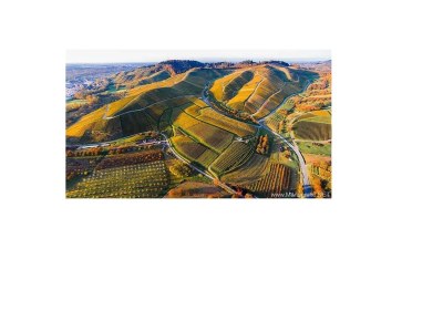 Holiday apartment im Oberdorf - Environment photo 27