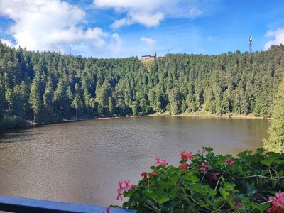 Holiday apartment im Oberdorf - Environment photo 28