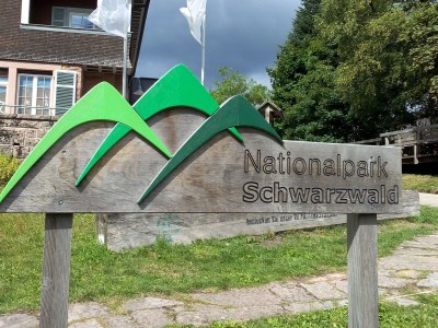 Holiday apartment im Oberdorf - Document photo 31