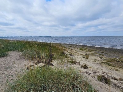 Holiday house 4 Personen Ferienhaus in Farsø-By Traum - Outdoor photo 15